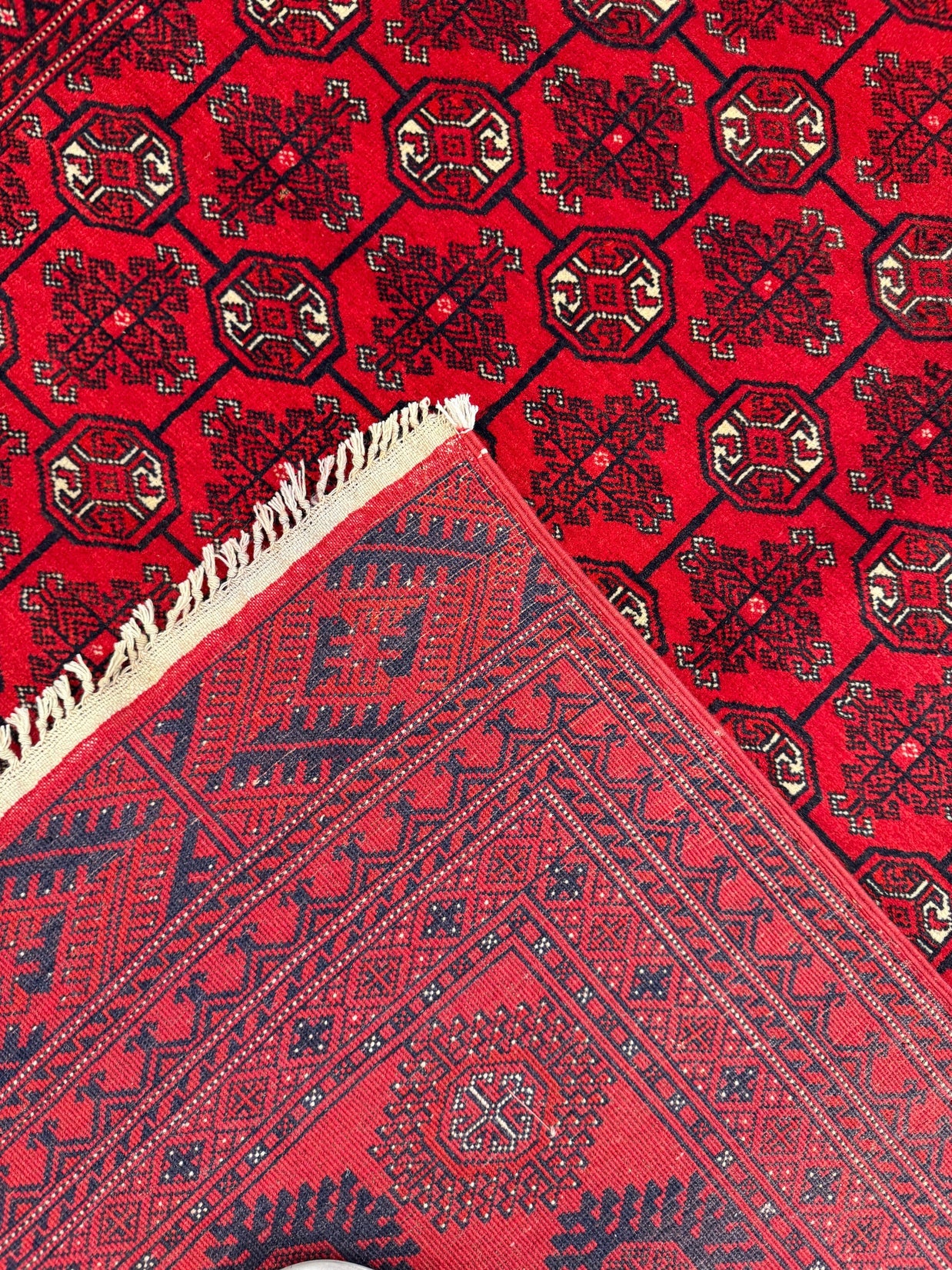 Roshnai Rug - 293 cm x 192 cm