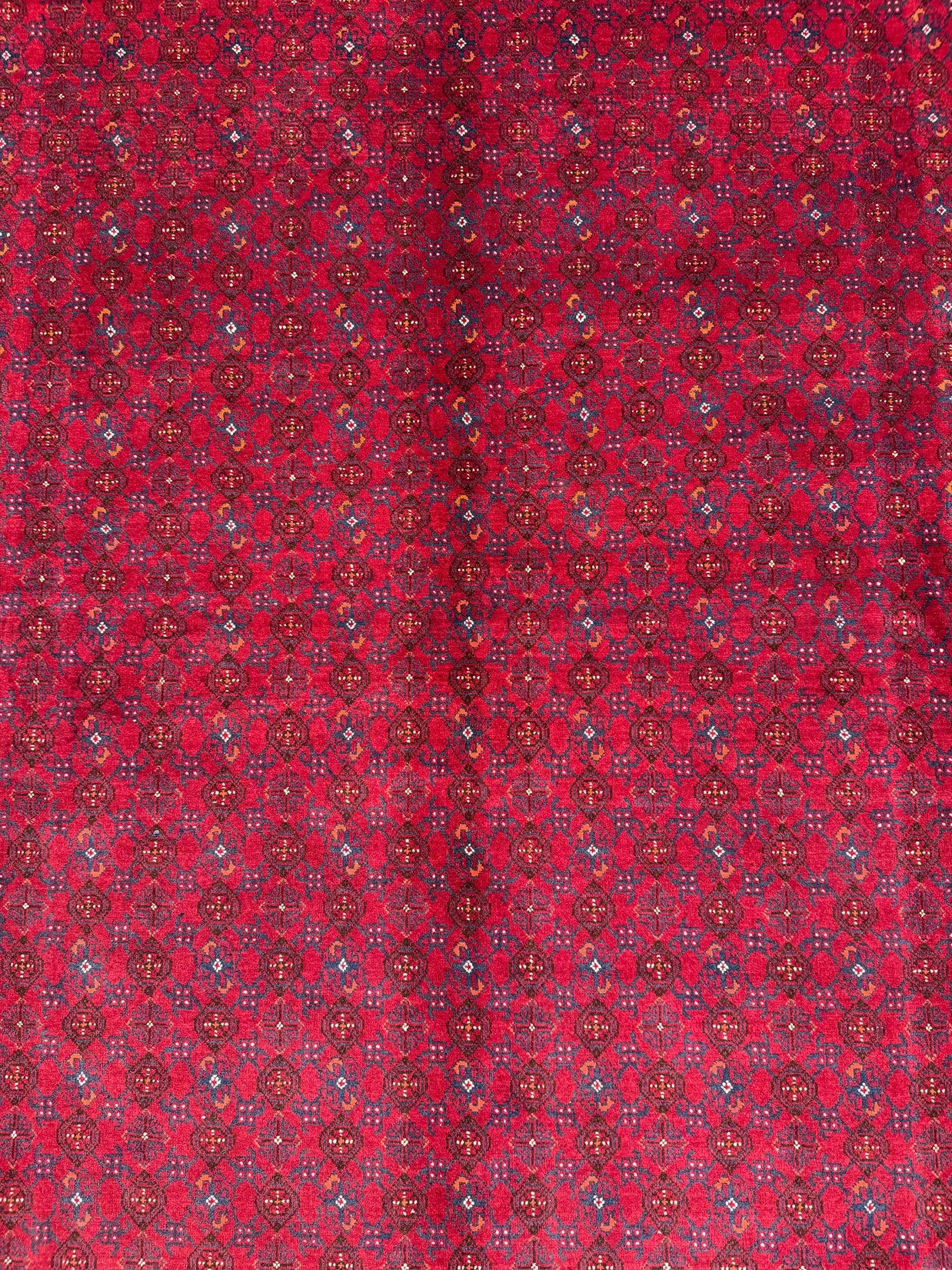Roshnai Rug - 289 cm x 200 cm