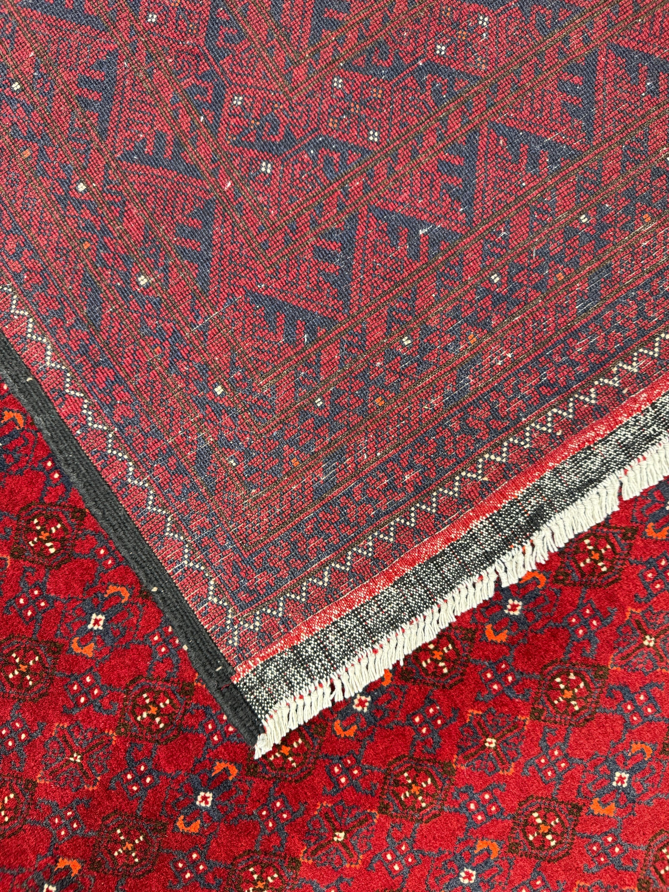 Roshnai Rug - 289 cm x 200 cm