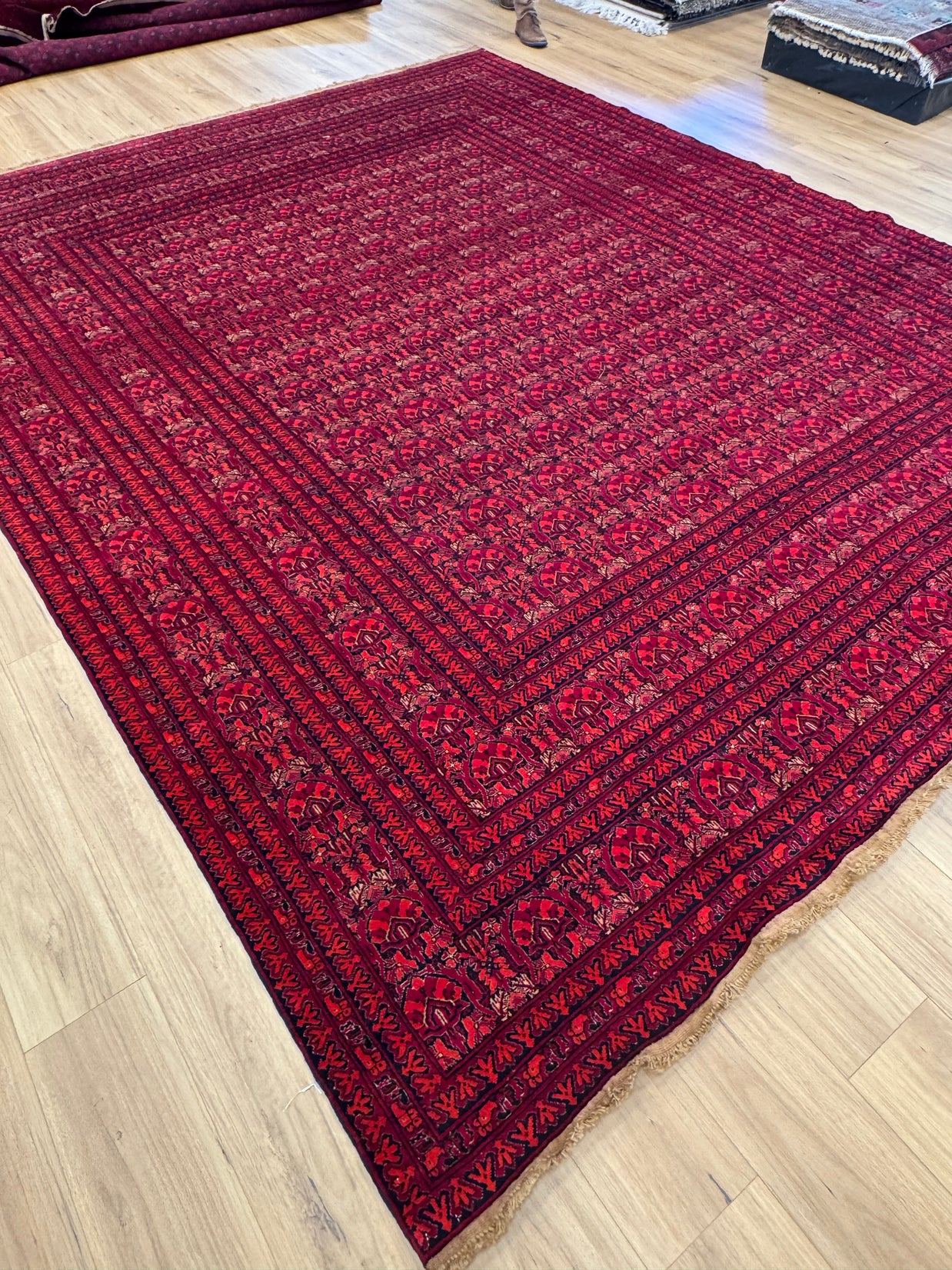 Kunduz Rug - 376 cm x 299 cm