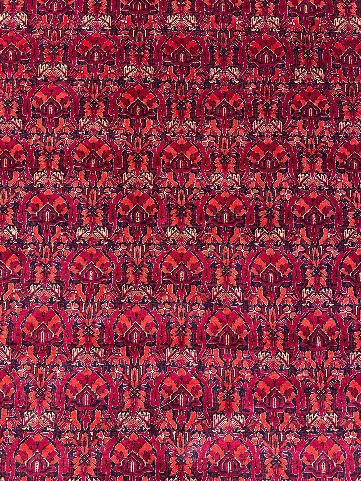 Kunduz Rug - 376 cm x 299 cm
