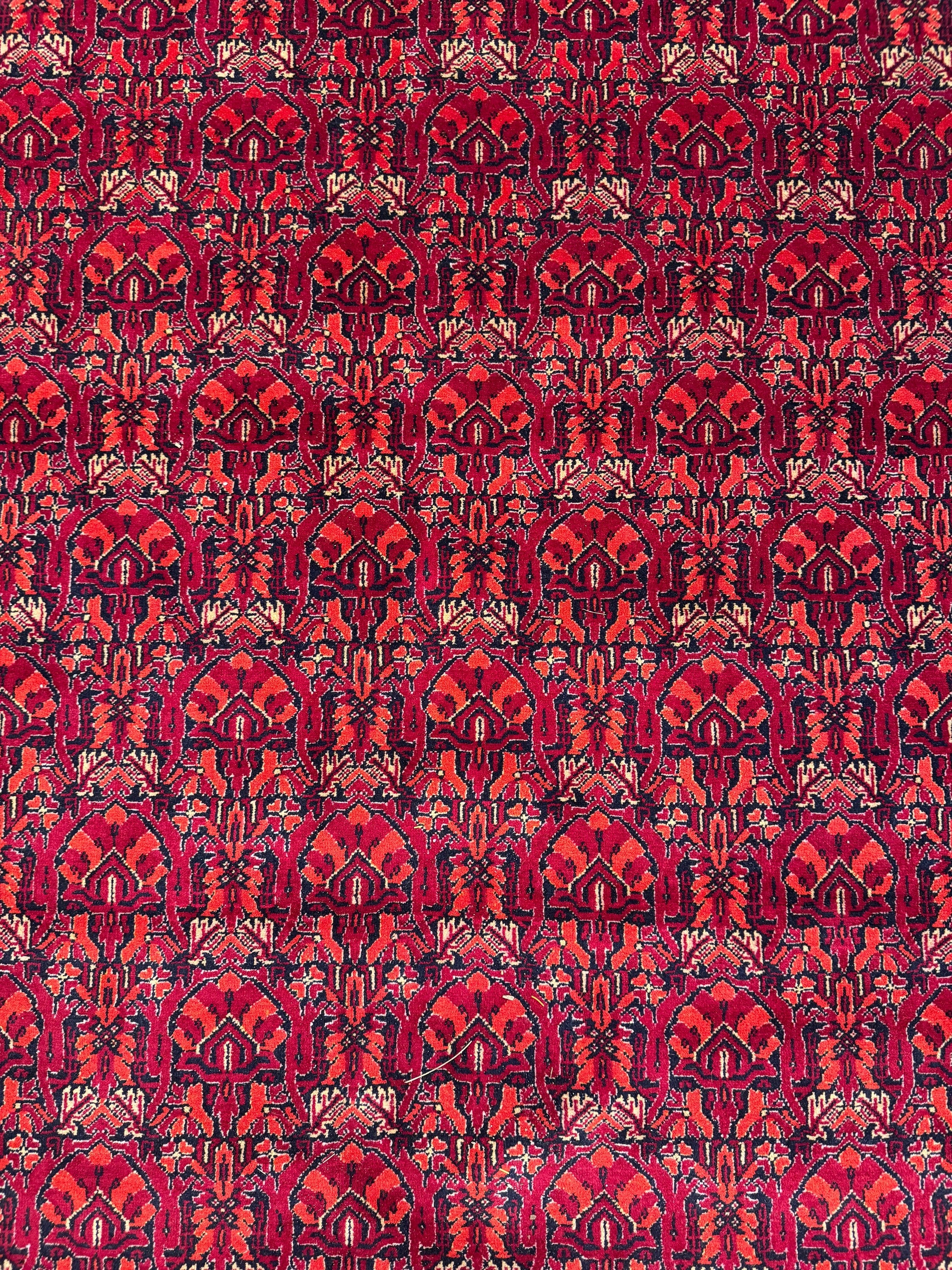 Kunduz Rug - 376 cm x 299 cm