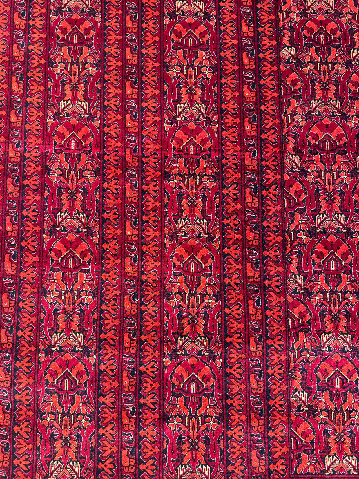 Kunduz Rug - 376 cm x 299 cm
