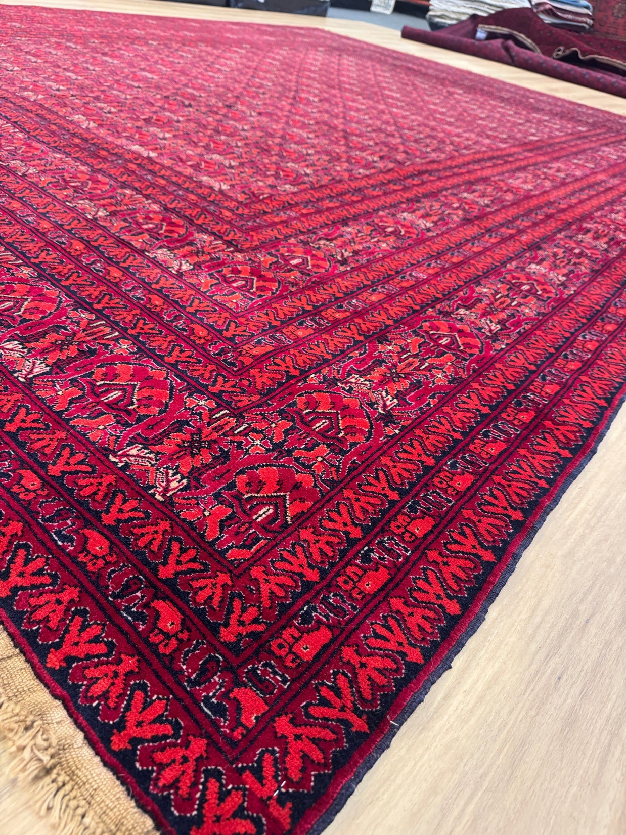 Kunduz Rug - 376 cm x 299 cm