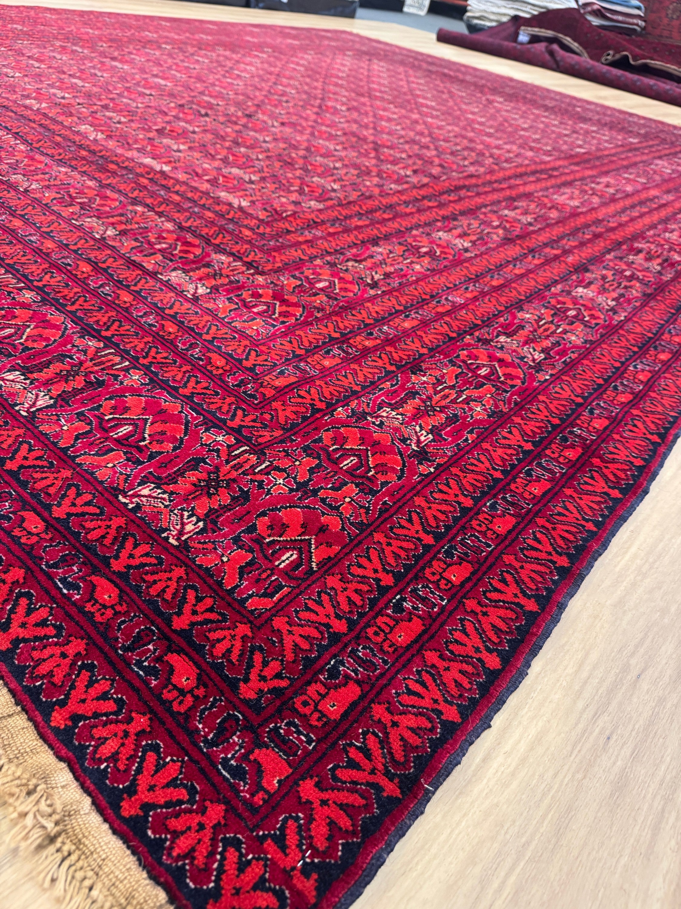 Kunduz Rug - 376 cm x 299 cm