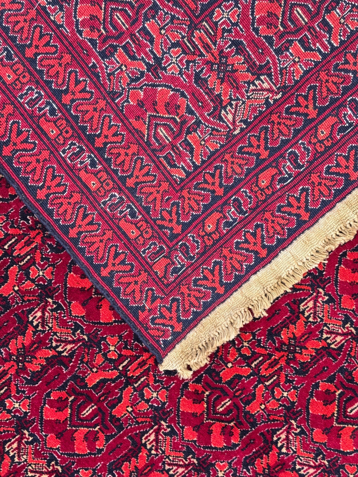Kunduz Rug - 376 cm x 299 cm
