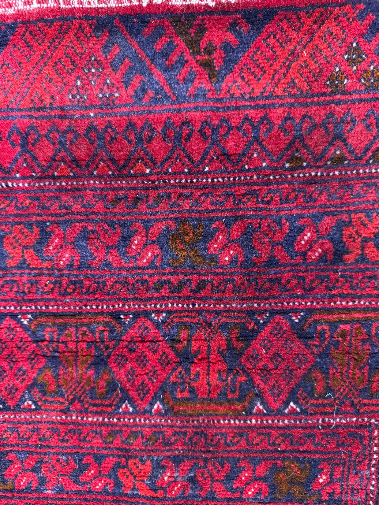 Roshnai Rug - 566 cm x 285 cm