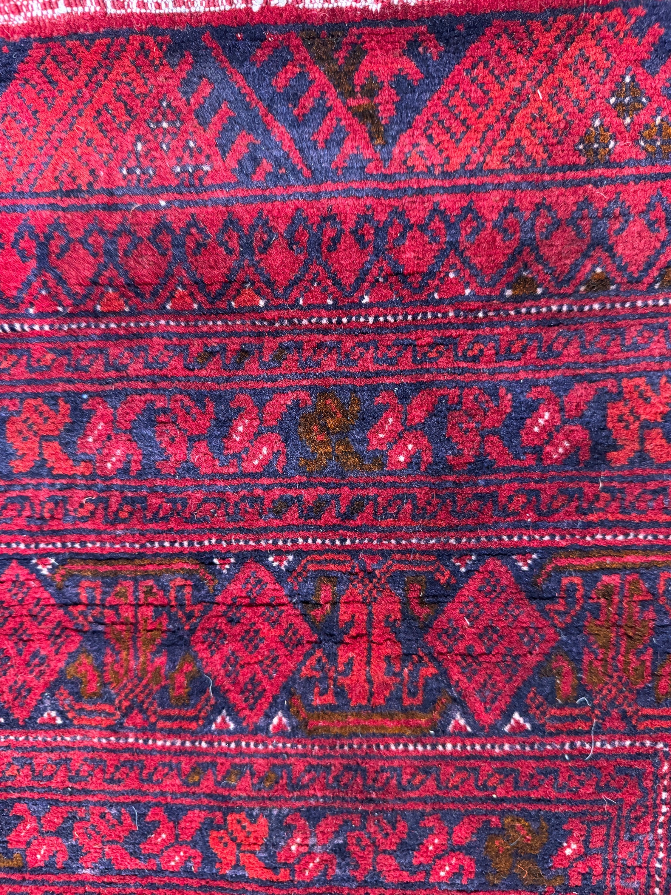 Roshnai Rug - 566 cm x 285 cm
