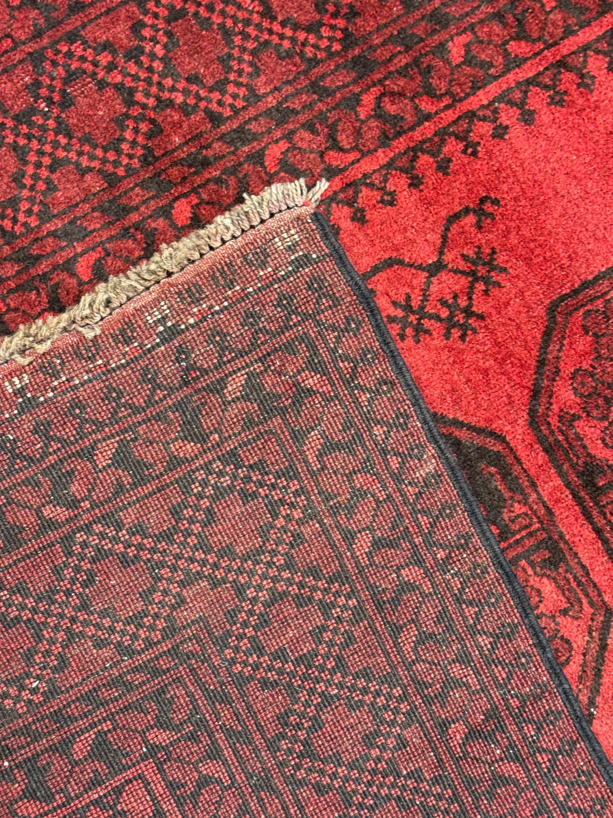 Turkoman Rug (fine) - 177 cm x 106 cm