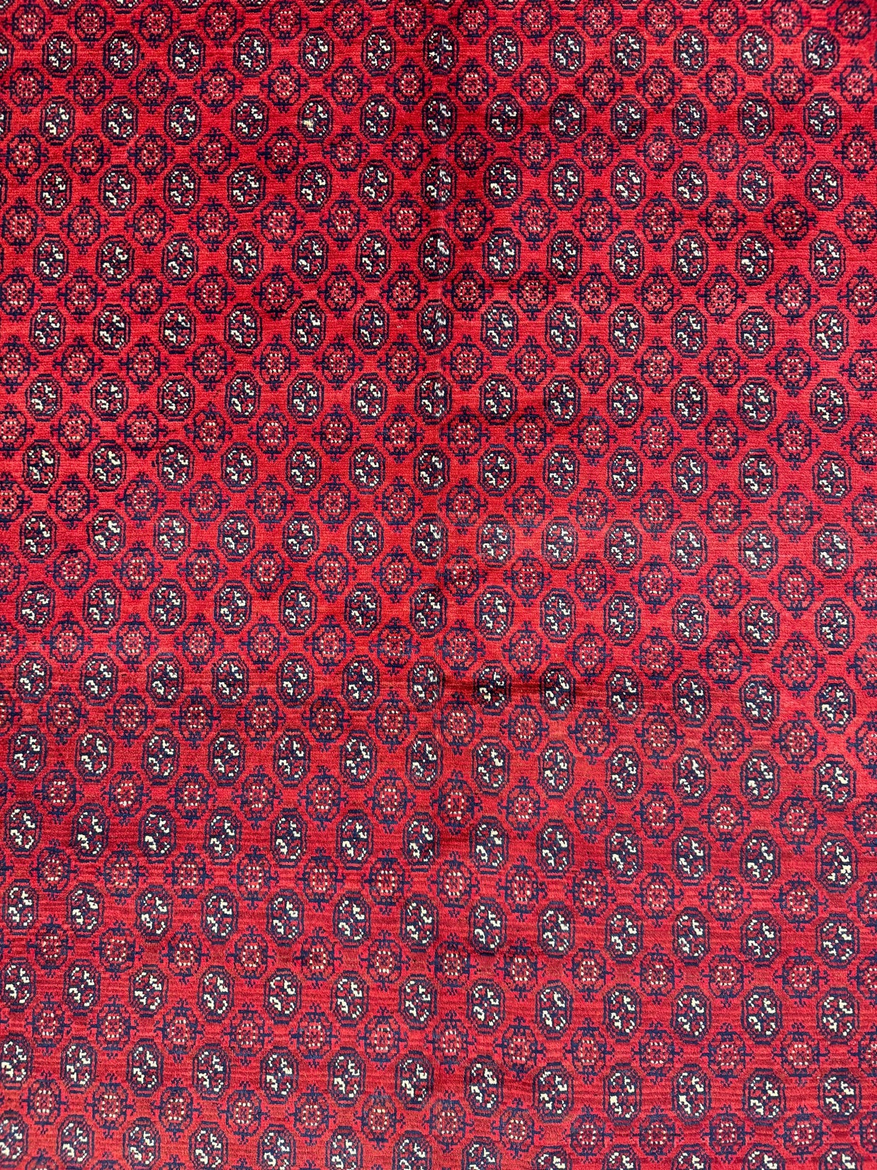 Roshnai Rug - 340 cm x 248 cm