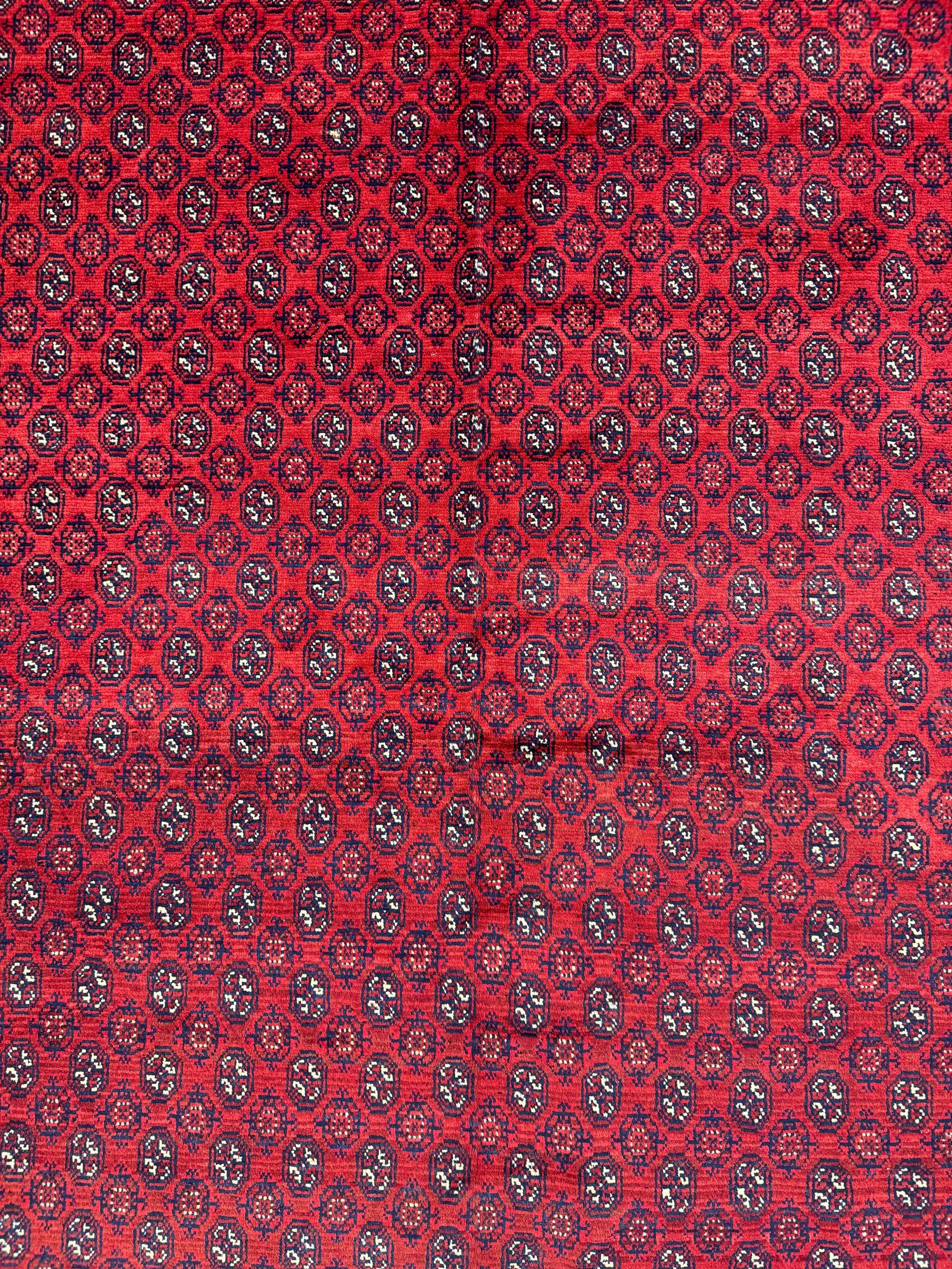Roshnai Rug - 340 cm x 248 cm