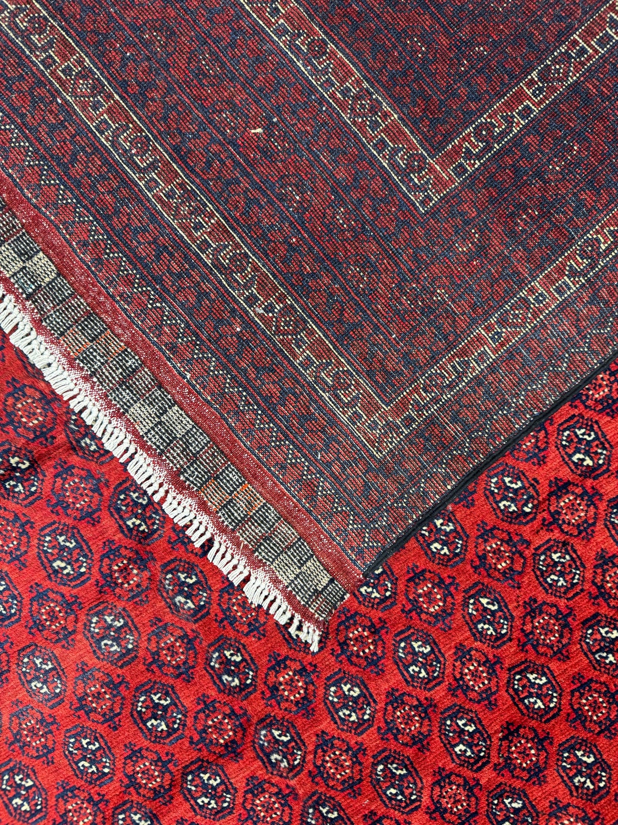 Roshnai Rug - 340 cm x 248 cm