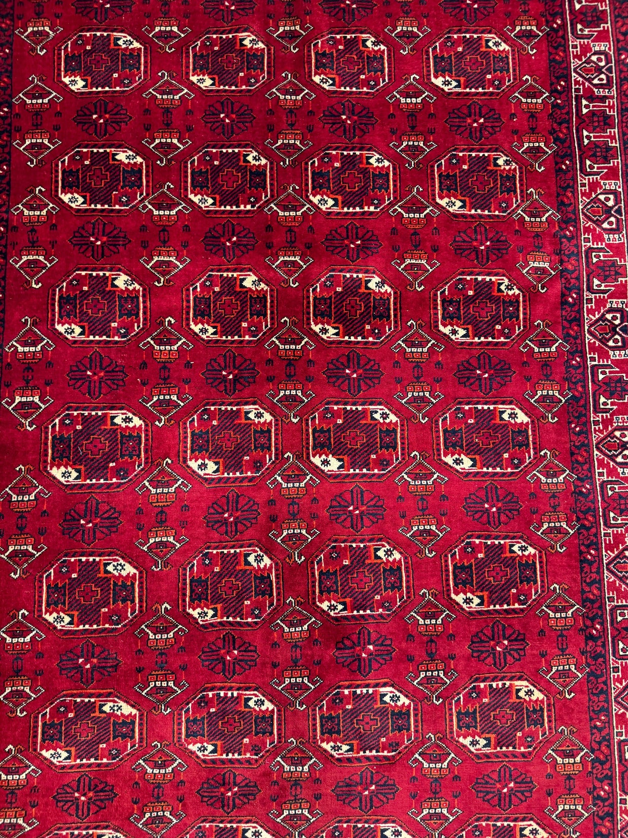 Roshnai Rug - 292 cm x 200 cm