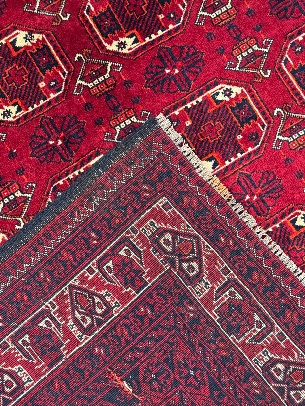 Roshnai Rug - 292 cm x 200 cm