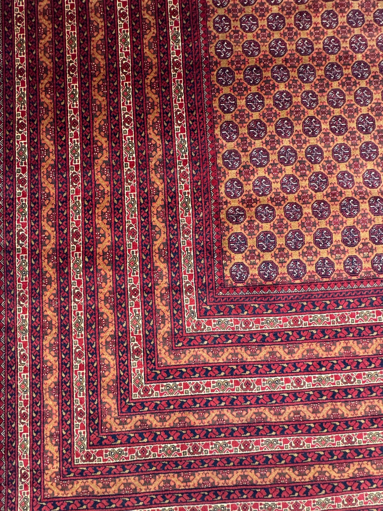 Roshnai Rug - 476 cm x 293 cm