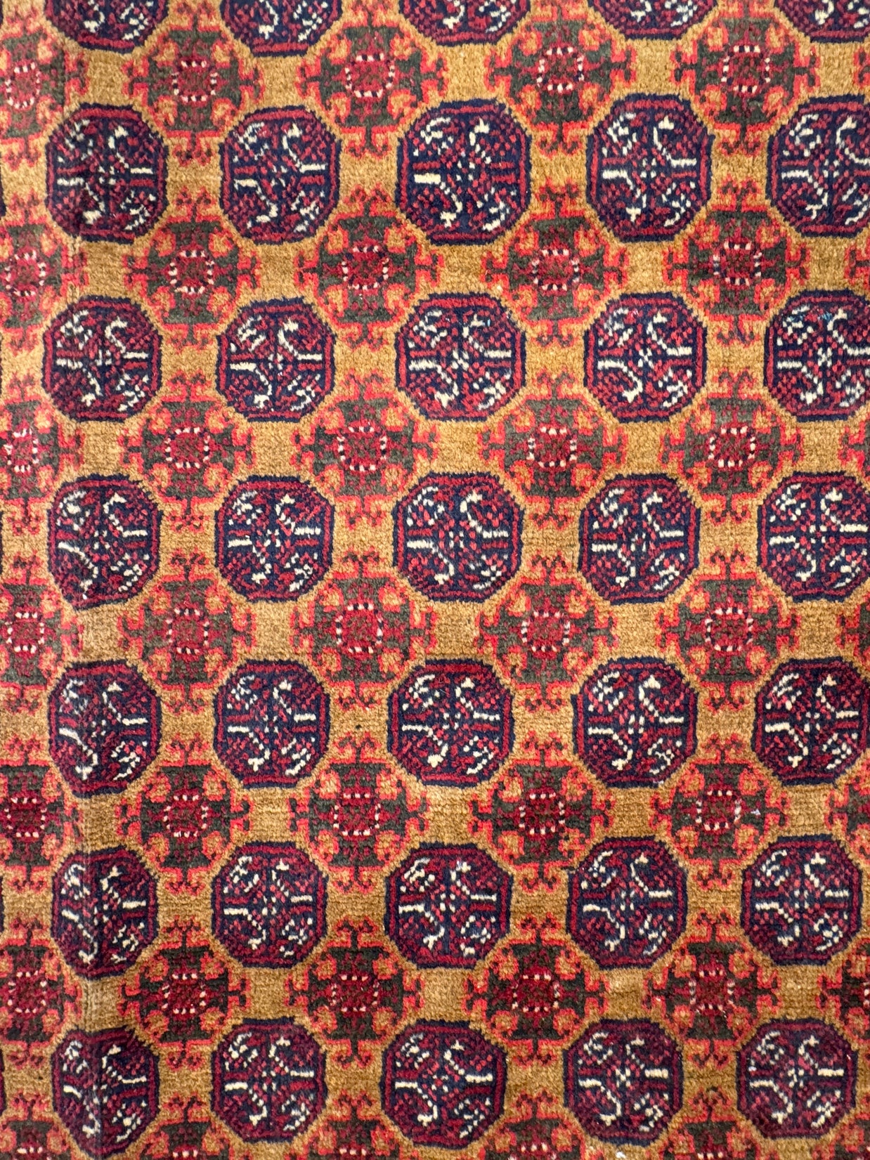 Roshnai Rug - 476 cm x 293 cm