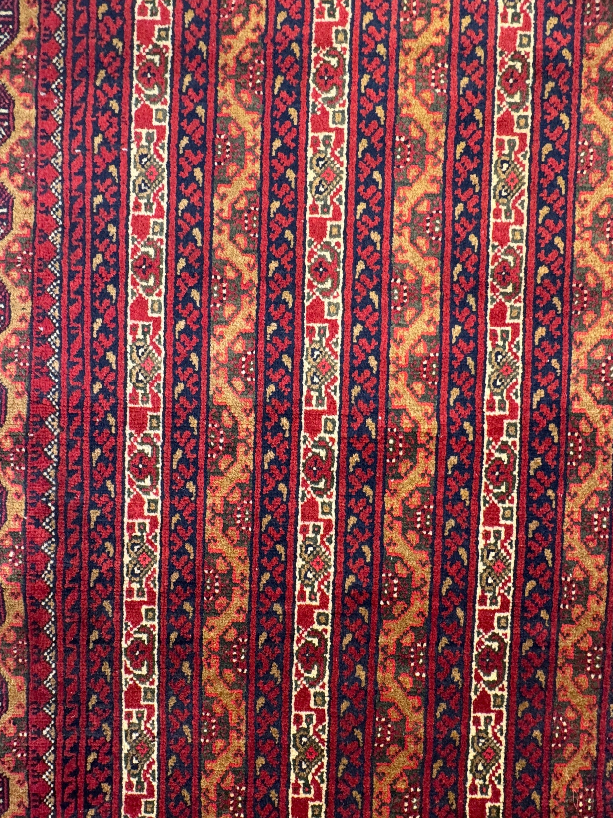 Roshnai Rug - 476 cm x 293 cm