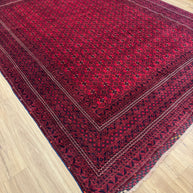 Kunduz Rug - 370 cm x 278 cm