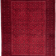 Kunduz Rug - 282 cm x 193 cm