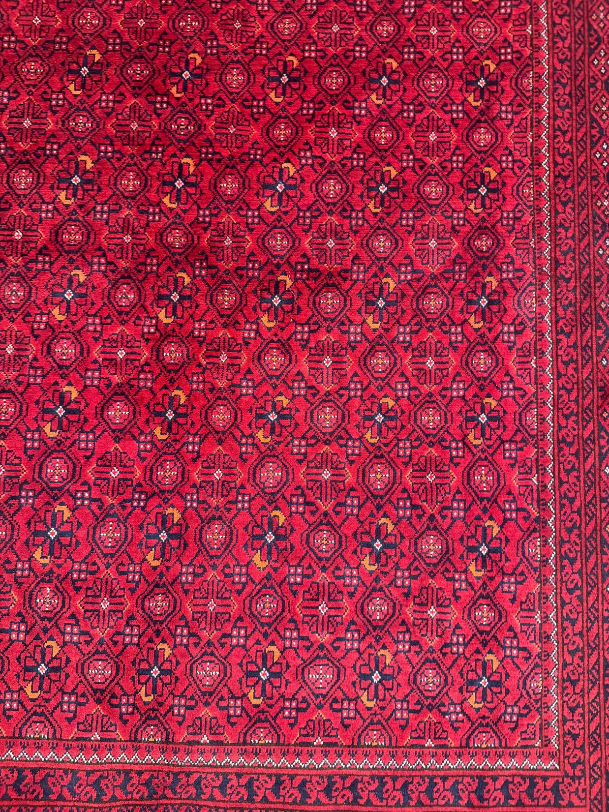 Kunduz Rug - 282 cm x 193 cm
