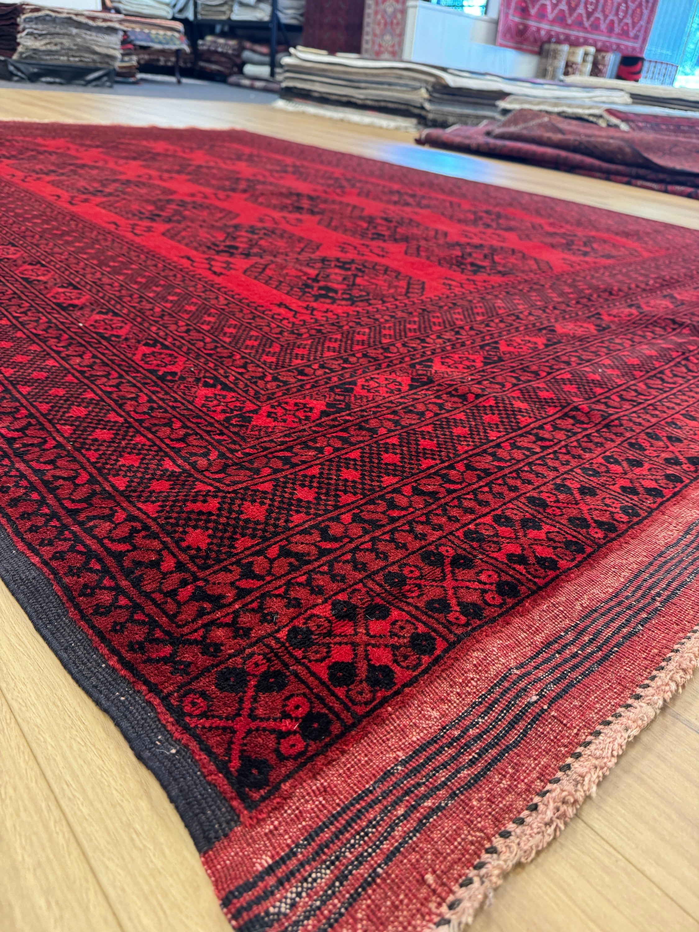 Turkoman Rug (Fine) - 299 cm x 209 cm