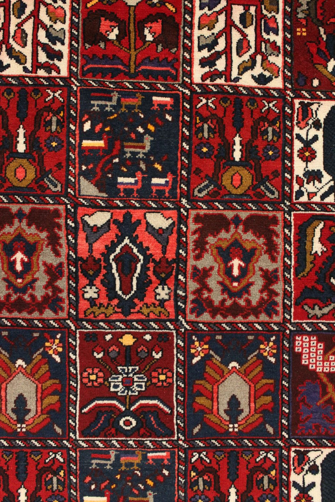 Bakhtiari Rug - 305 cm x 165 cm