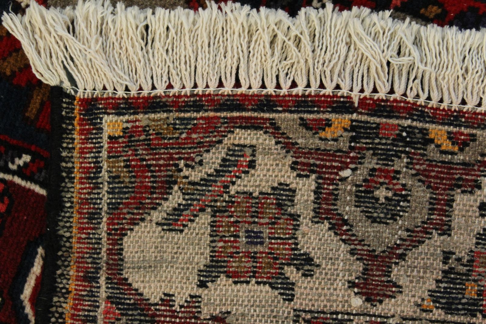 Bakhtiari Rug - 305 cm x 165 cm