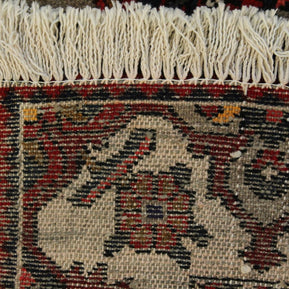 Bakhtiari Rug - 305 cm x 165 cm
