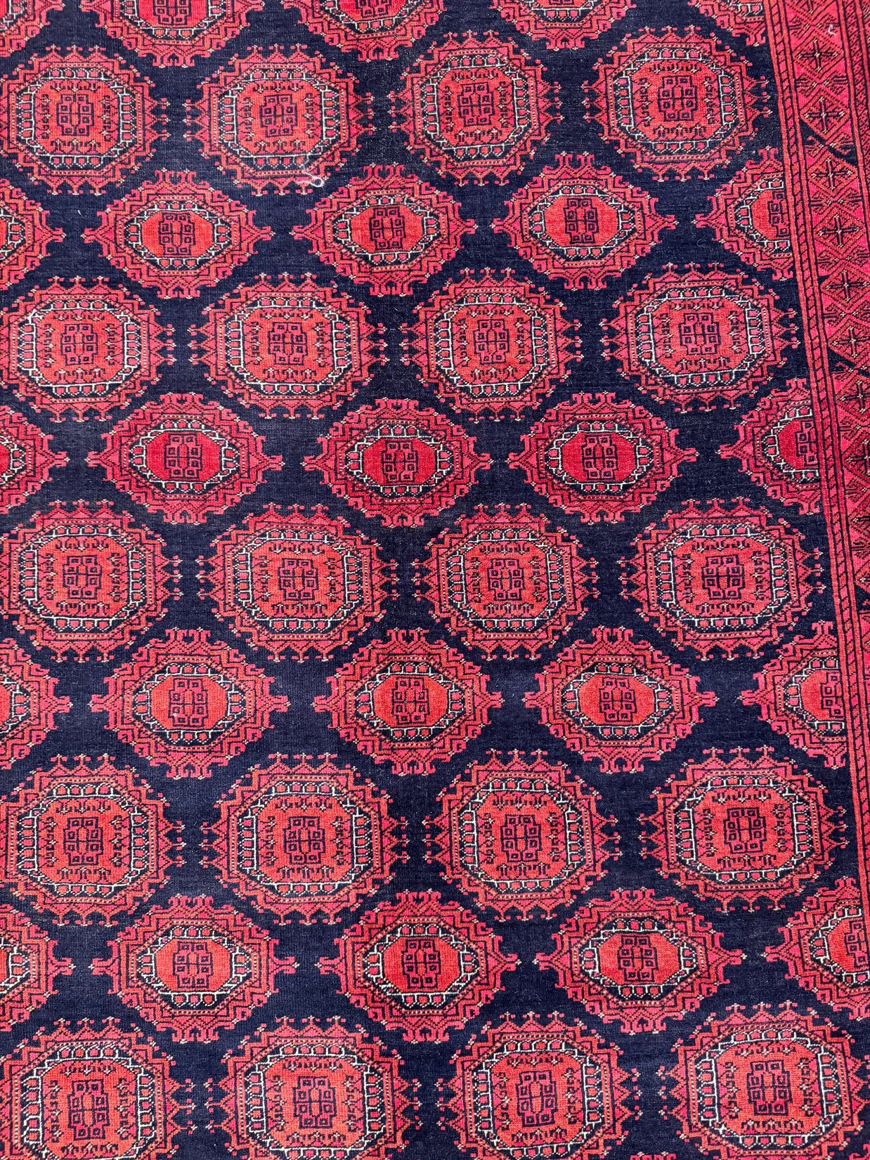 Kunduz Rug - 315 cm x 206 cm