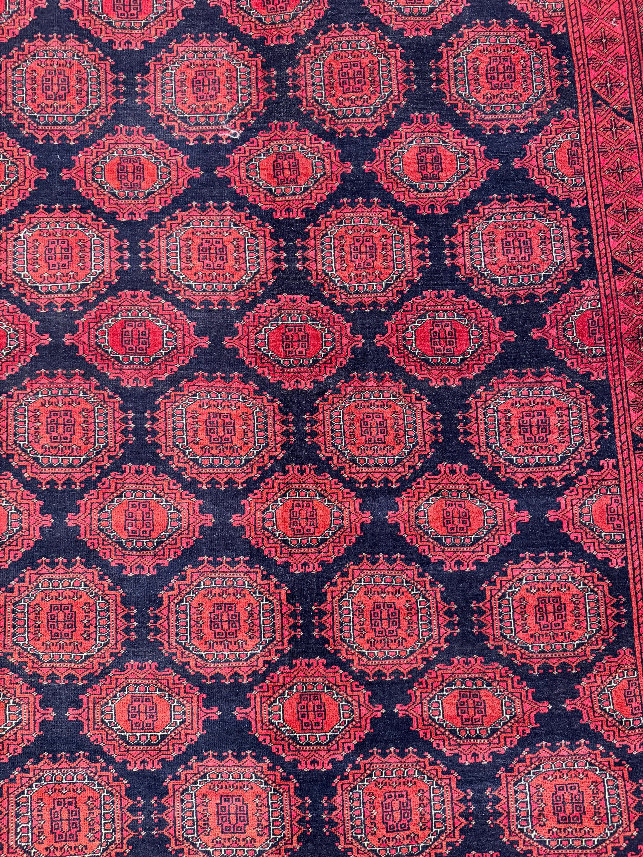 Kunduz Rug - 315 cm x 206 cm