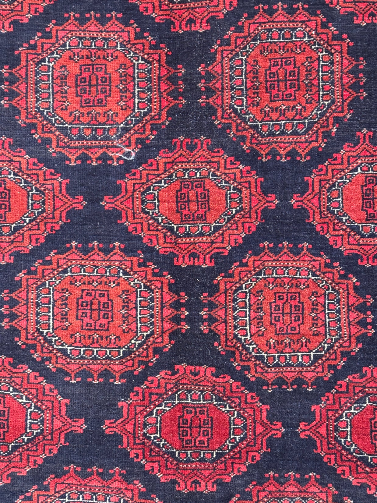 Kunduz Rug - 315 cm x 206 cm