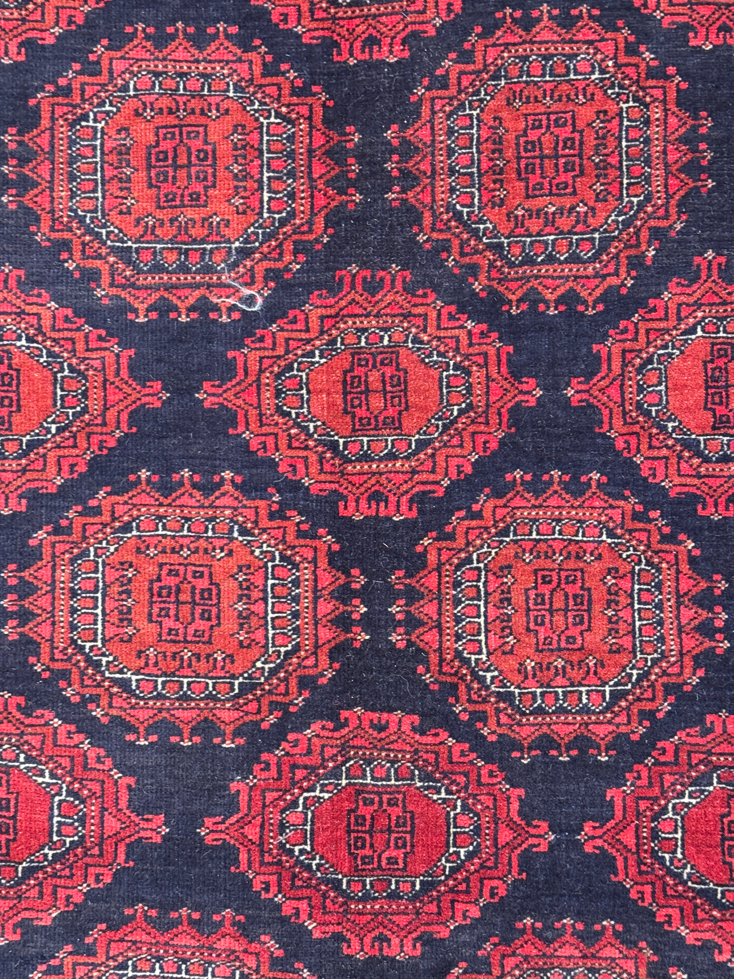 Kunduz Rug - 315 cm x 206 cm
