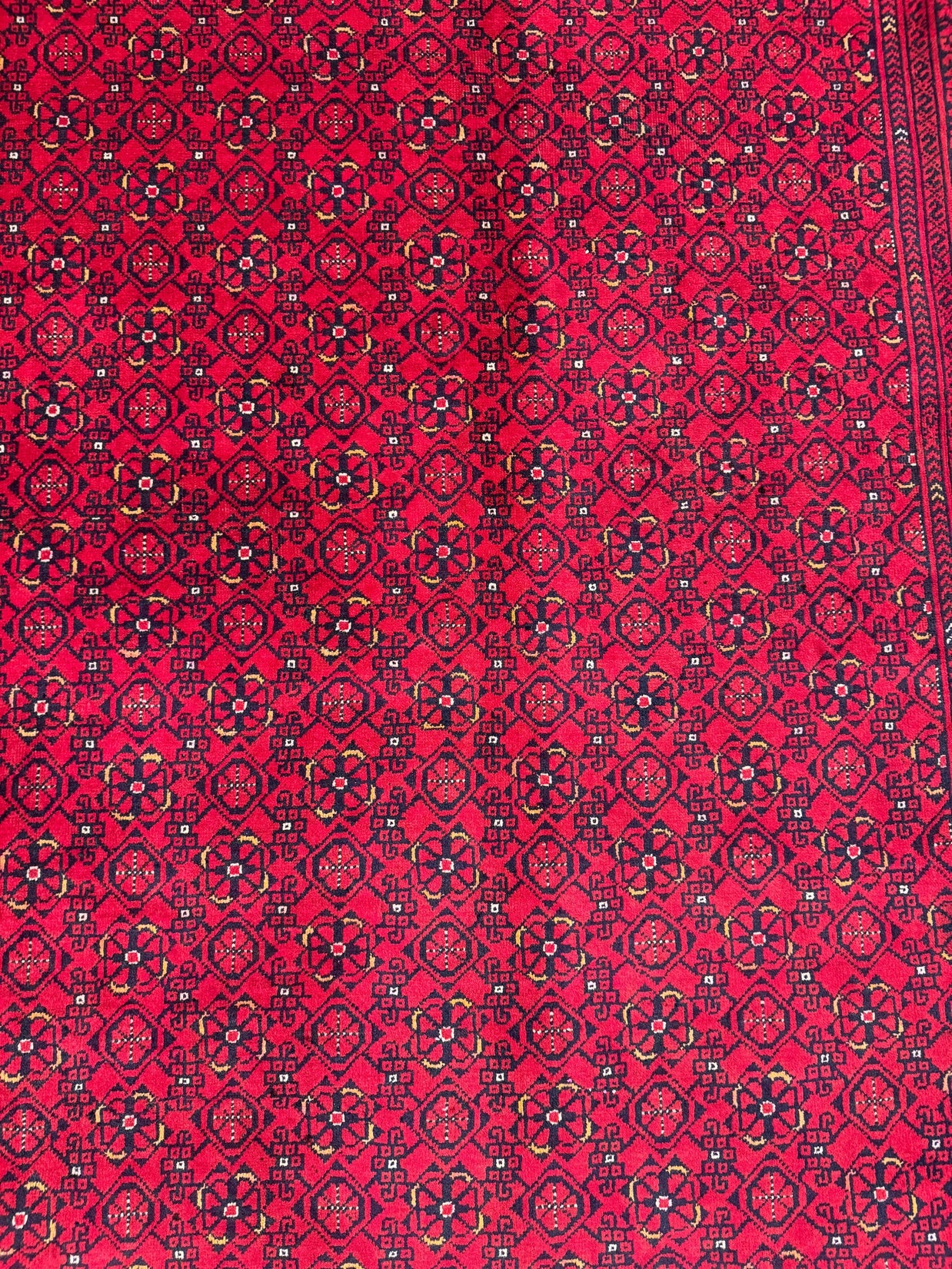 Kunduz Rug - 291 cm x 195 cm