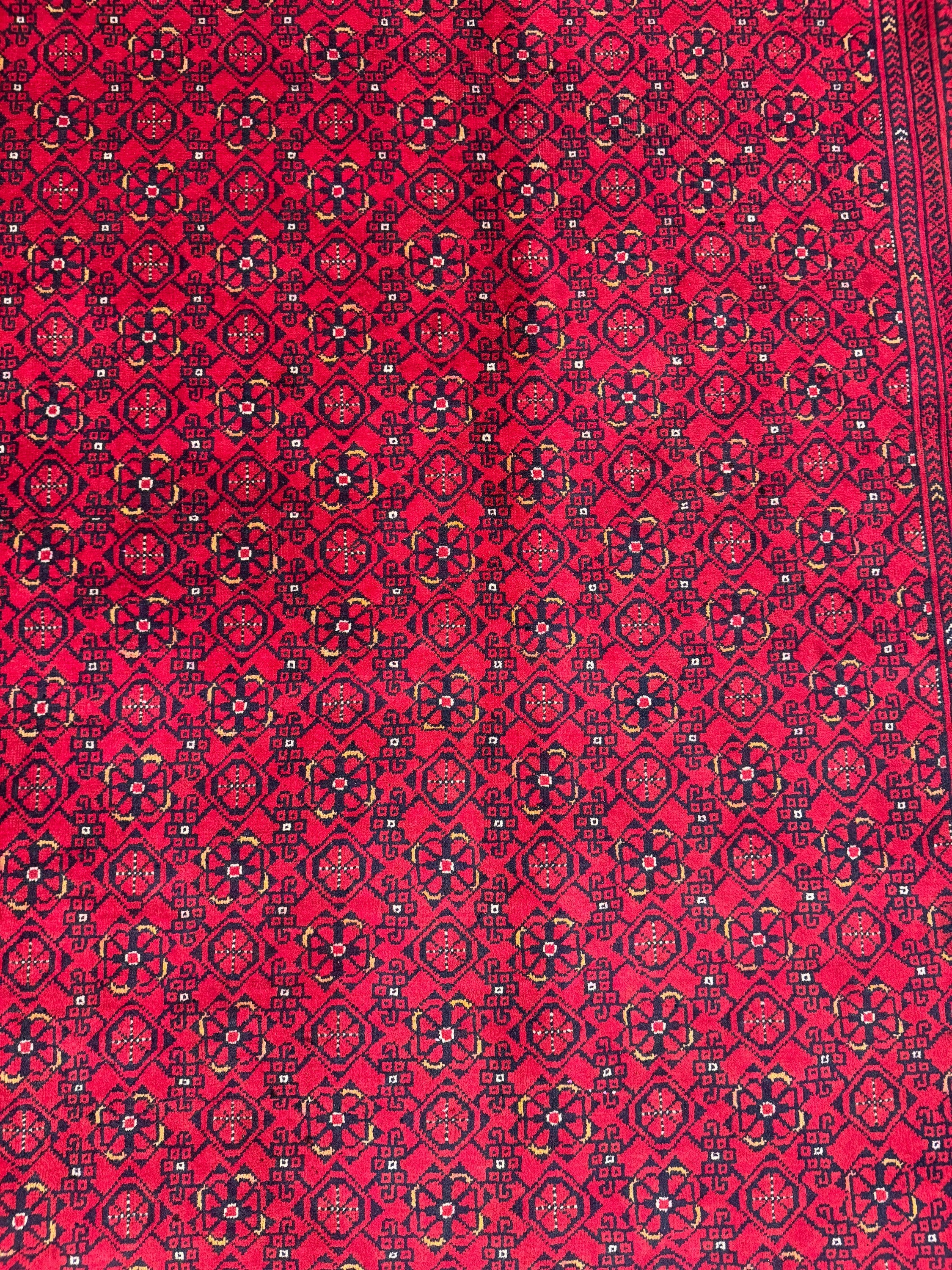 Kunduz Rug - 291 cm x 195 cm