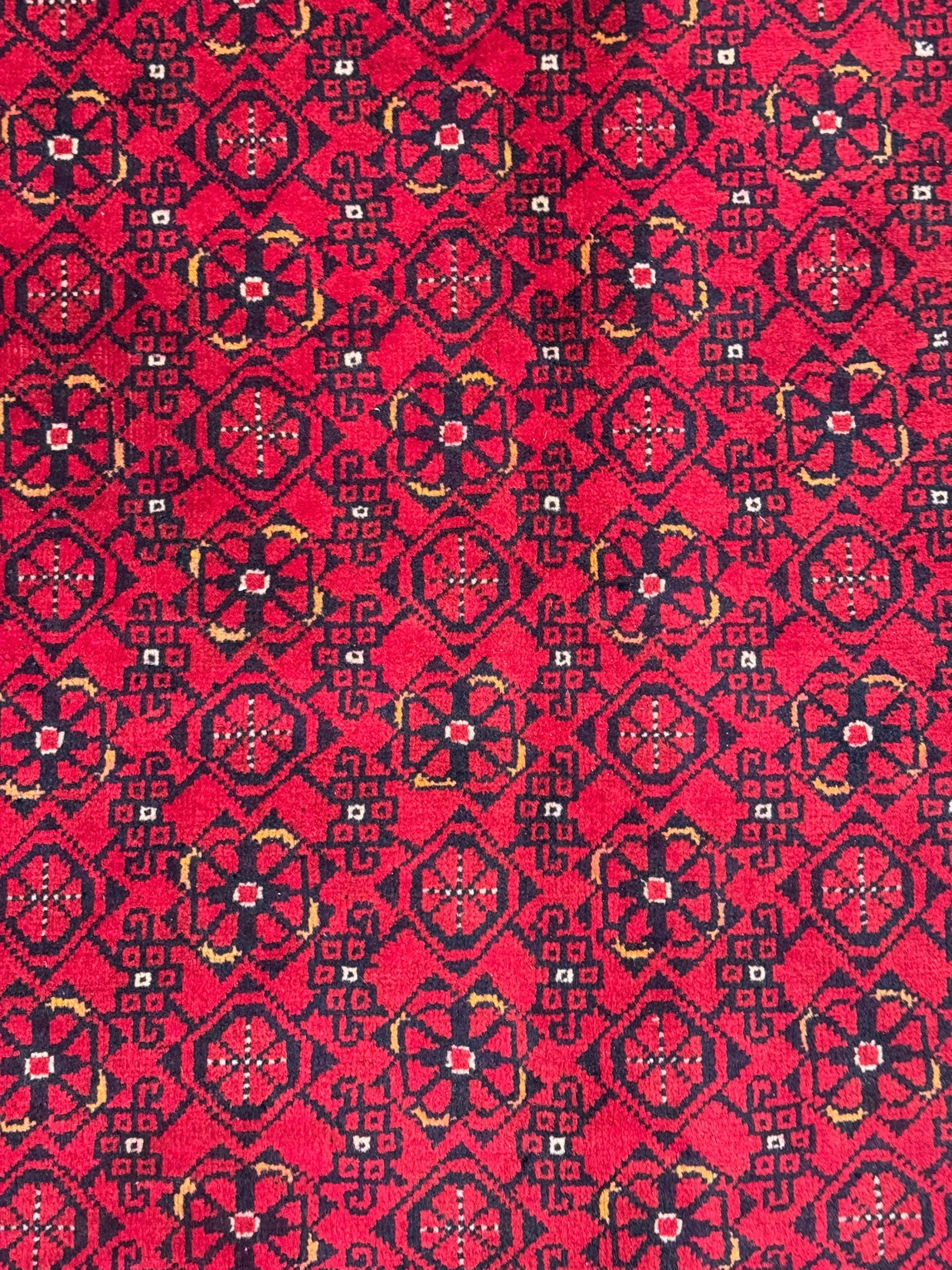 Kunduz Rug - 291 cm x 195 cm