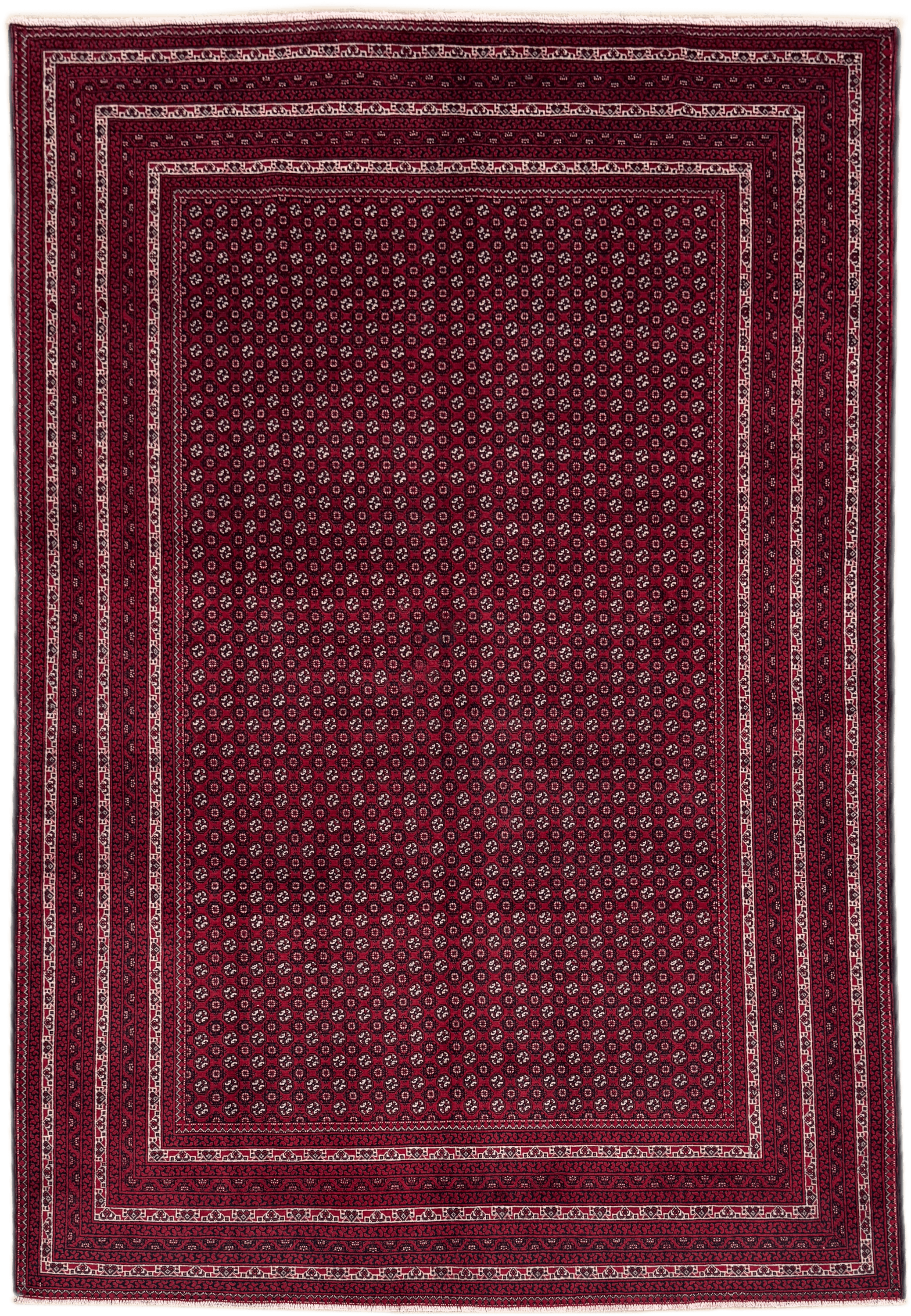 Roshnai Rug - 286 cm x 198 cm