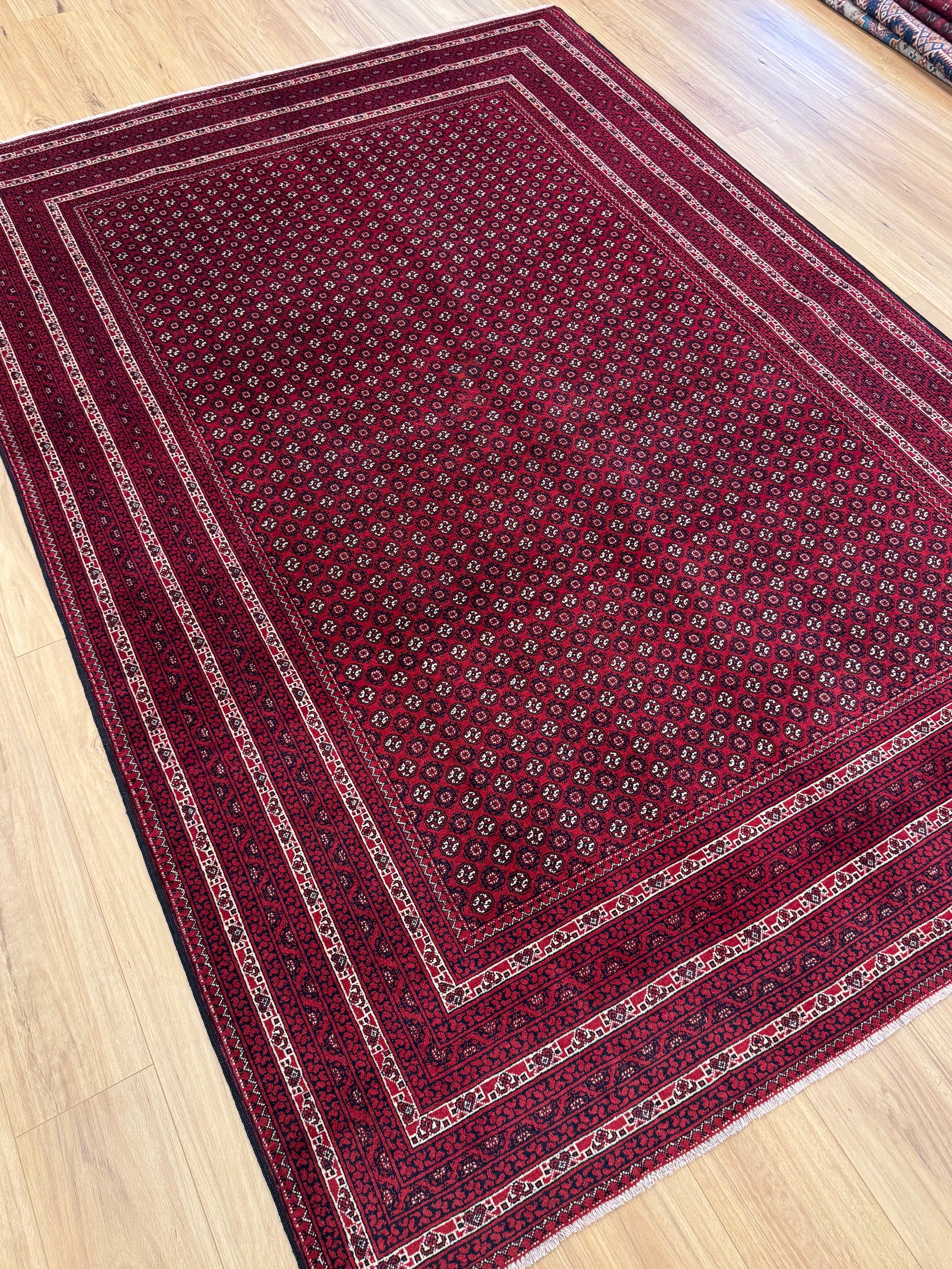 Roshnai Rug - 286 cm x 198 cm