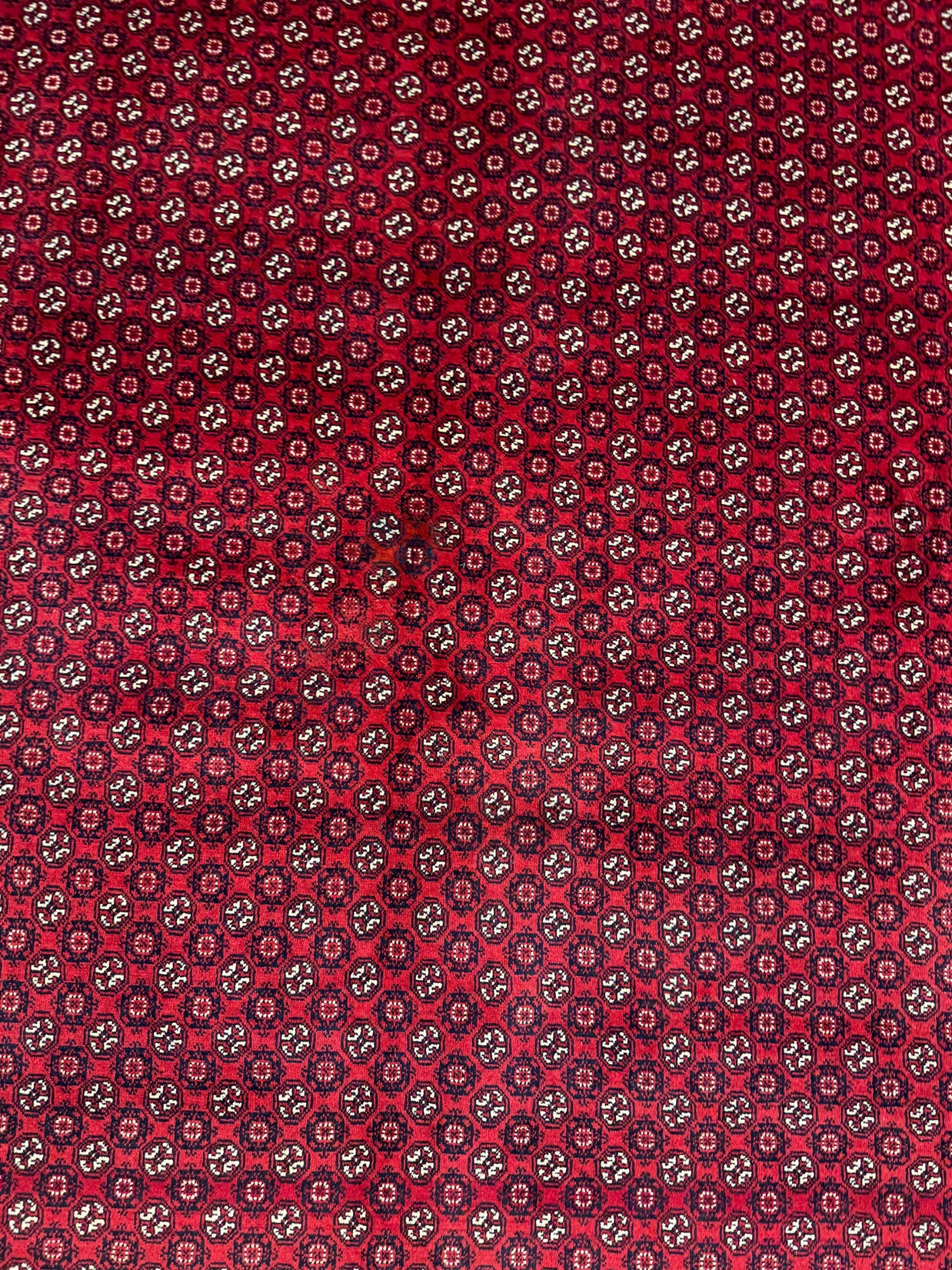 Roshnai Rug - 286 cm x 198 cm