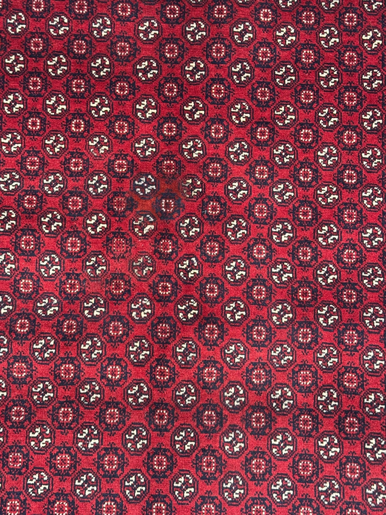 Roshnai Rug - 286 cm x 198 cm