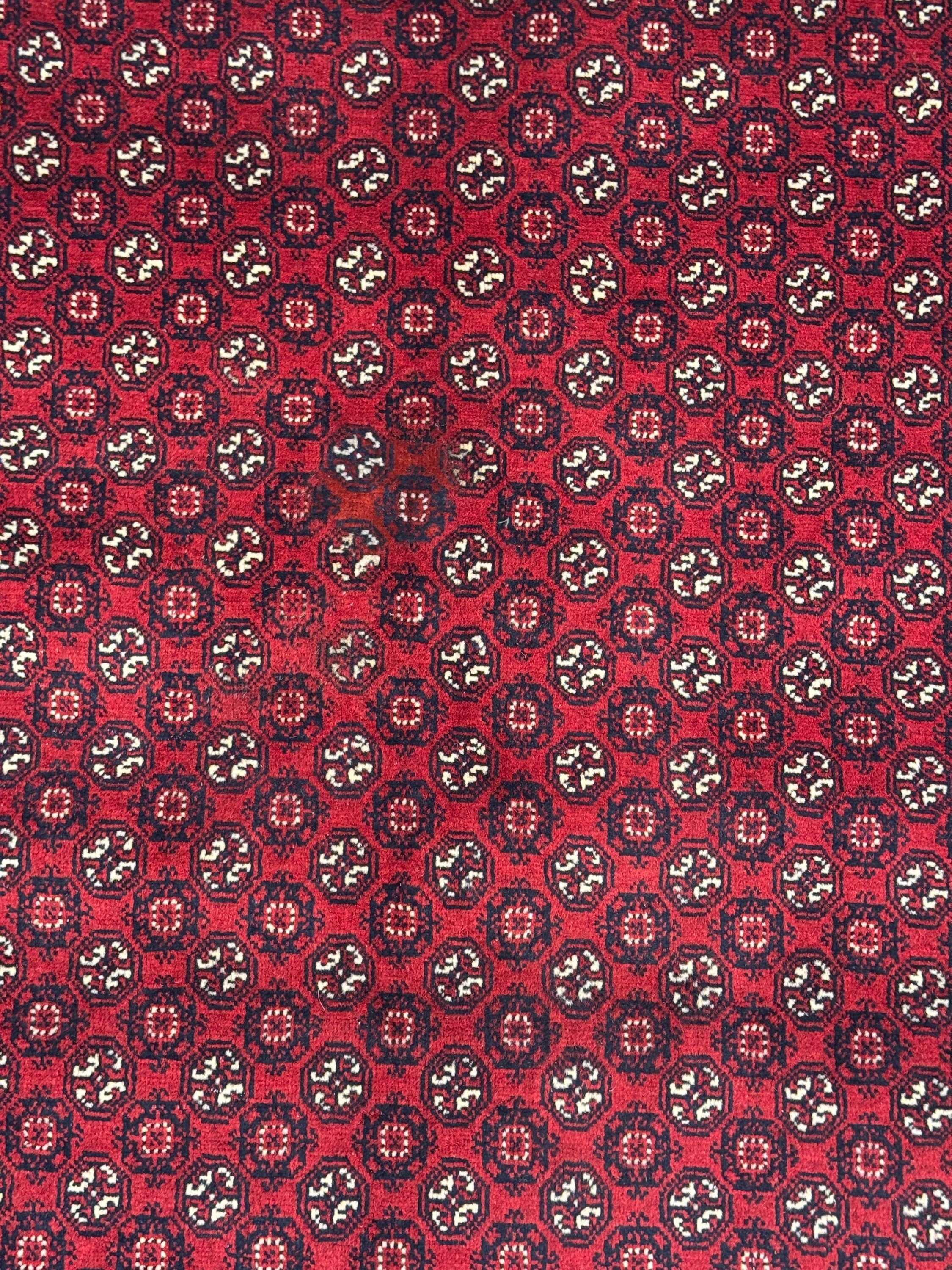 Roshnai Rug - 286 cm x 198 cm