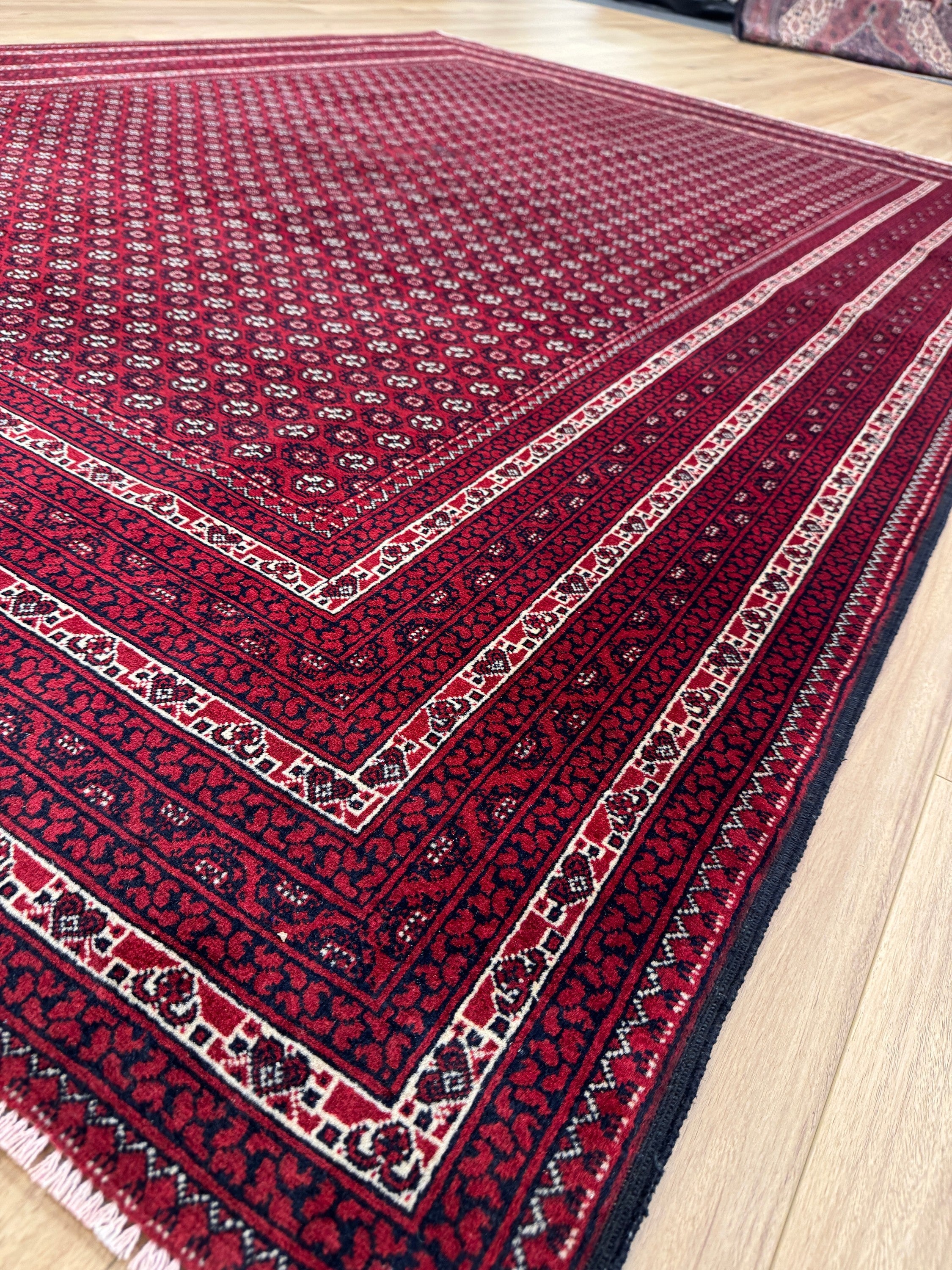 Roshnai Rug - 286 cm x 198 cm