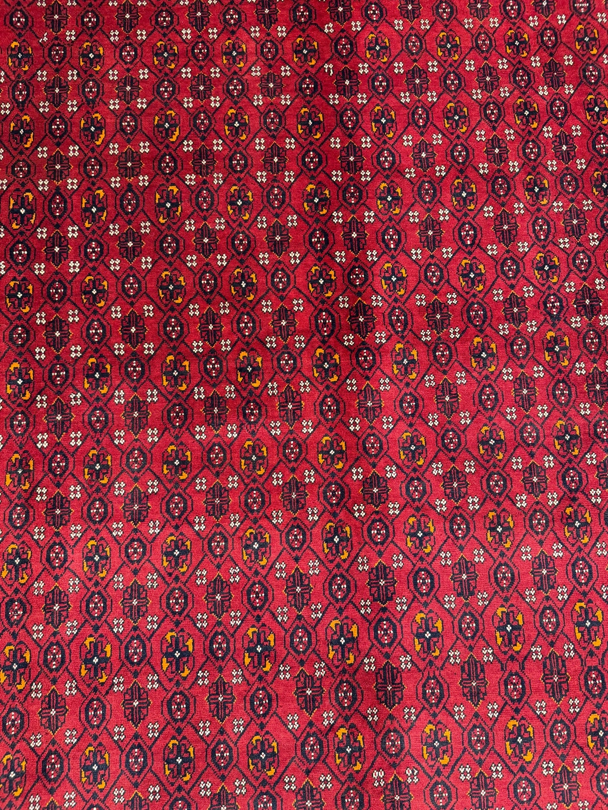 Kunduz Rug - 280 cm x 199 cm