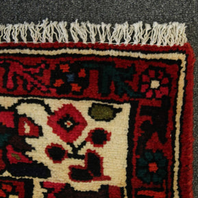 Lilihan Rug - 290 cm x 205 cm
