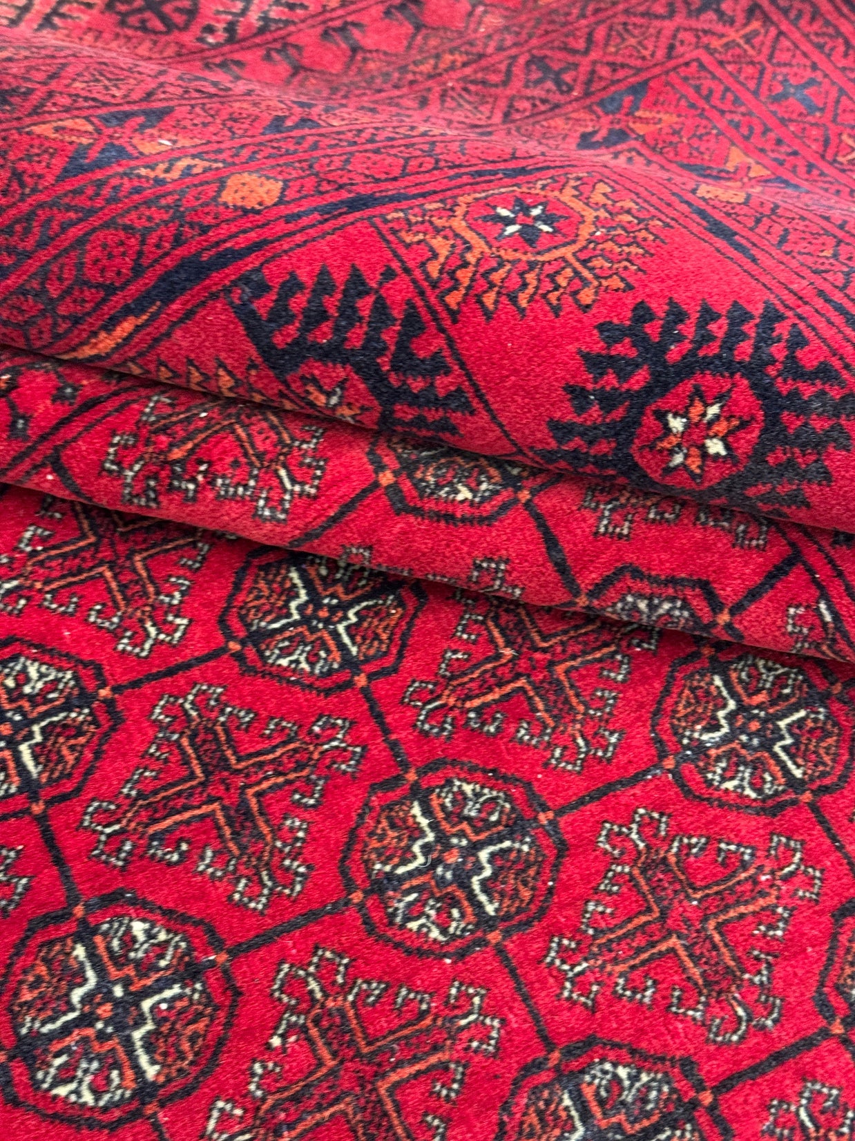 Roshnai Rug - 281 cm x 195 cm