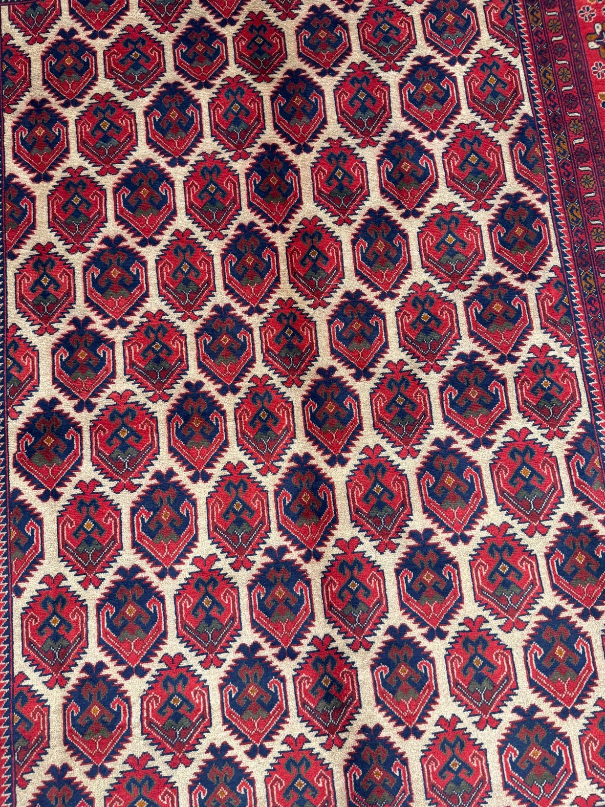 Kunduz Rug - 288 cm x 199 cm