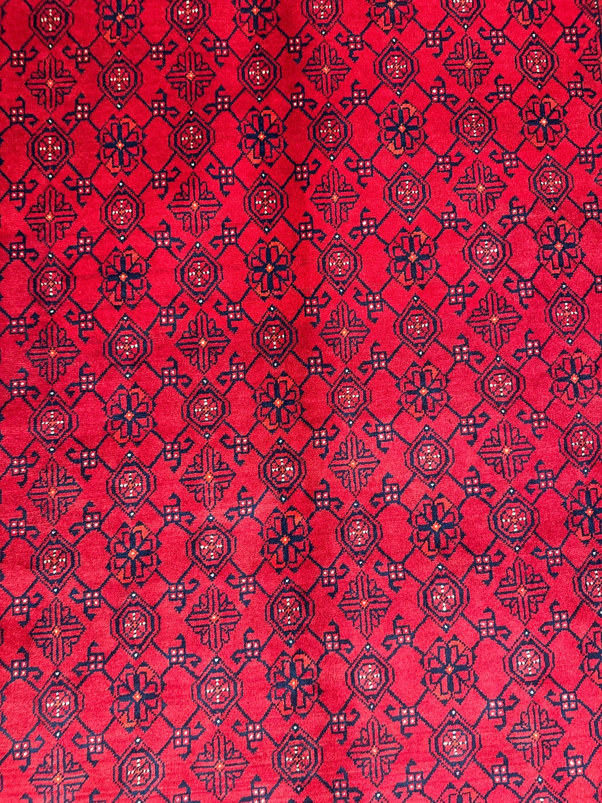 Kunduz Rug - 307 cm x 199 cm