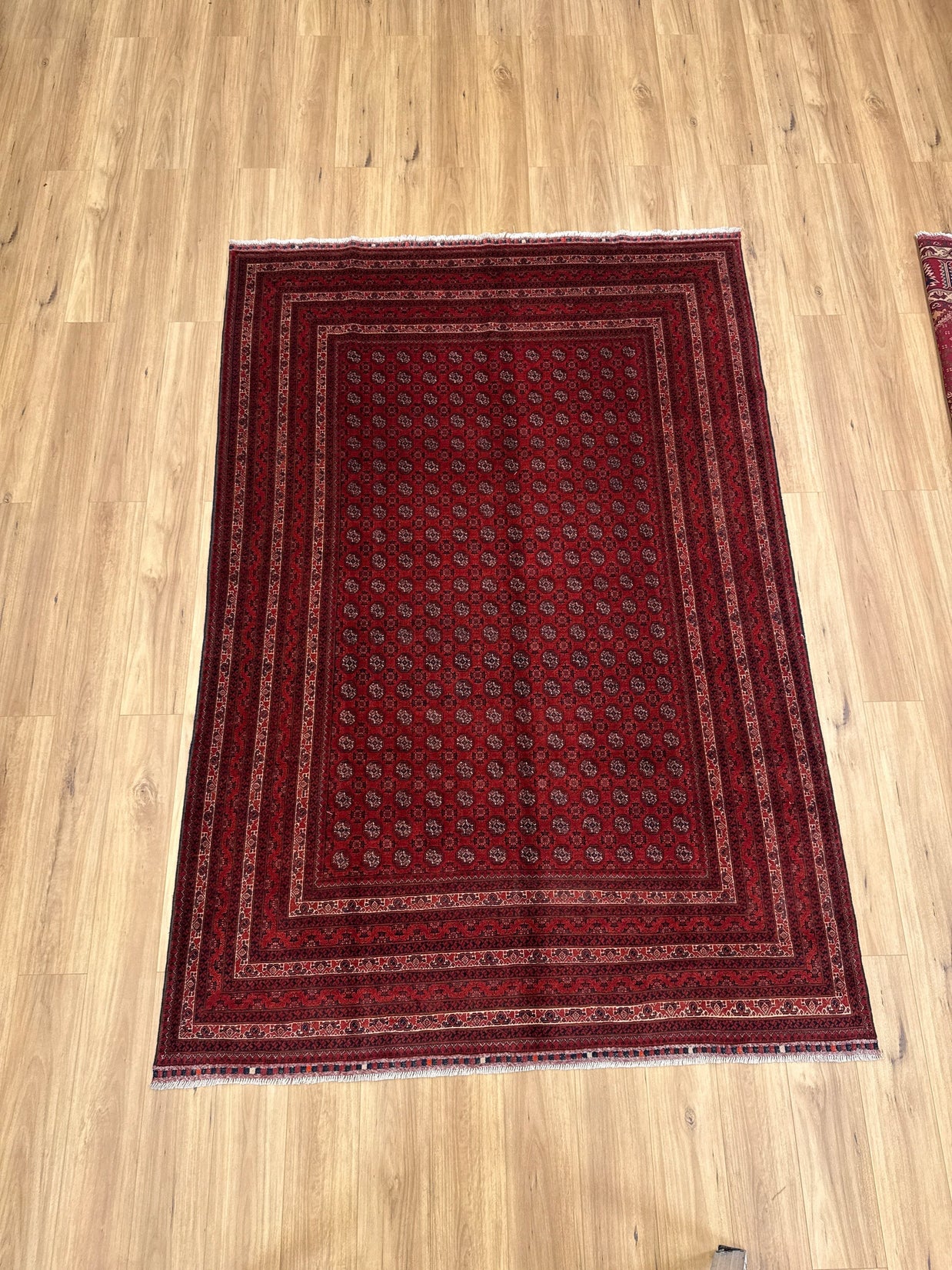 Roshnai Rug - 285 cm x 195 cm