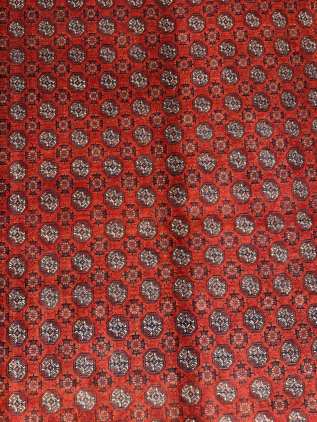 Roshnai Rug - 285 cm x 195 cm