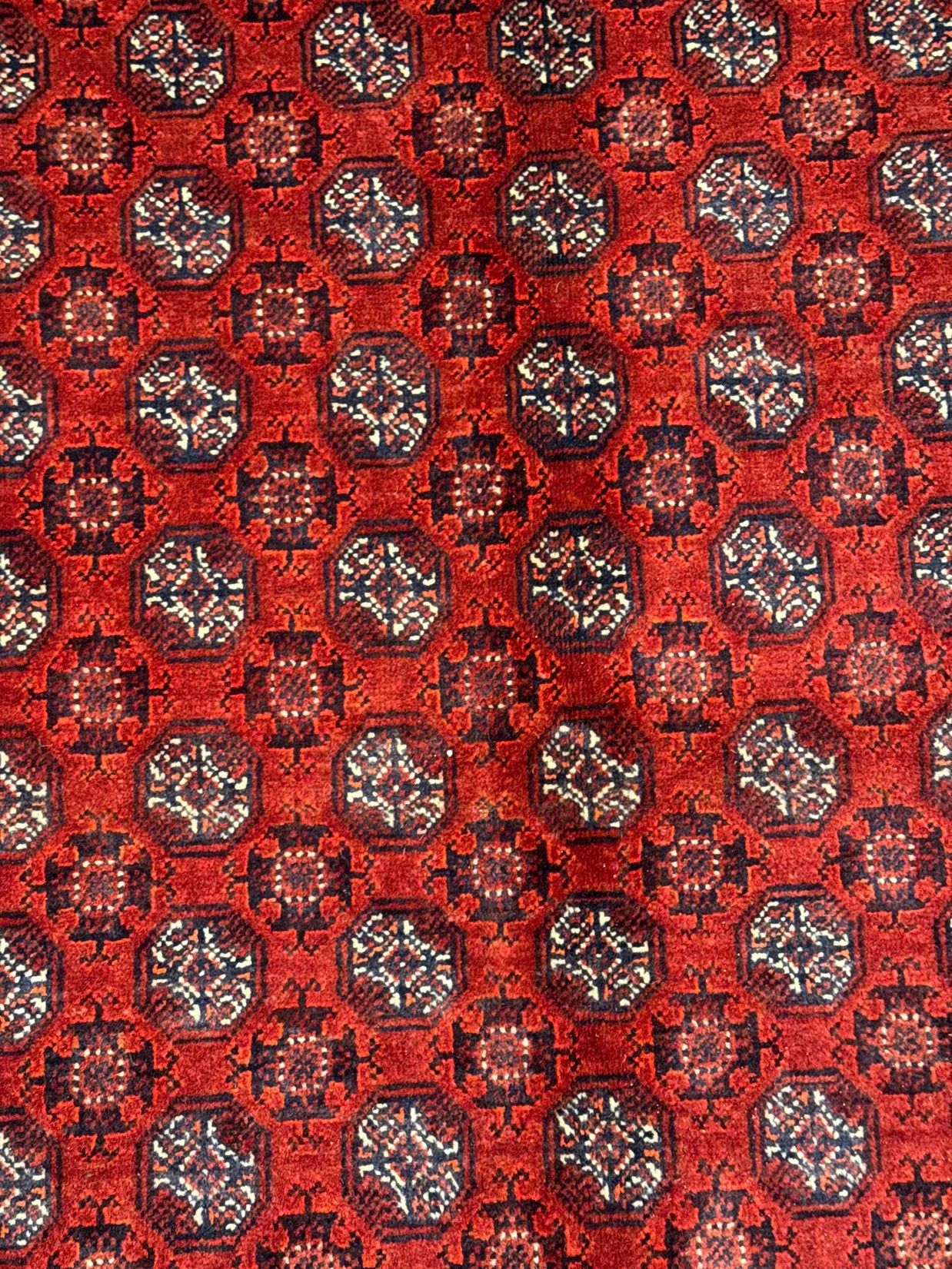 Roshnai Rug - 285 cm x 195 cm