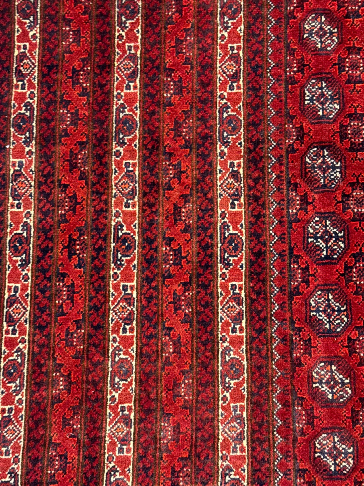 Roshnai Rug - 285 cm x 195 cm